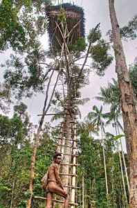 Our quotation: Life is about adventures or nothing! As a Papuan, I love to venture out to remote places, enjoy wildlife and bring back wonderful memories and share with friends, my fears, excitement and crazy things I have done while on trip. Though I am neither an avid cultural tour, or birder nor an ornithologist, I do enjoy see real life or birding on a fun perspective and appreciate what nature has to offer! I hope that through this website: www.trek-papua.com/ www.papuatravels.com/, I could keep track of birding events I have organized/ participated and in years to come, become a useful resource to people who plan to cultural tour, see the bird overseas! I truly enjoy cultural tour or birding, whether alone or with my friends…and I hope I can inspire you to be one too! more: www.papuatrip.com/