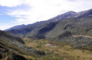 Mandala peak expedition with Trek-Papua team. Puncak Mandal trip, Mandala tour Mount stars, Mandala peak Explore, Madala adventure, Mandala trekking Papua, Madala Peak trip,Mandala rock mountain trip with Mac