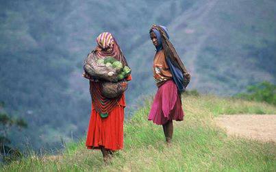 mama papua,Welcome to Raja Ampat Honeymoon www.rajaampathoneymoon.com