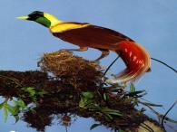 Places you never knew existed, Experiences you will never forget, locally owned and operated, Economic and environmental sustainability through high quality ecotourism