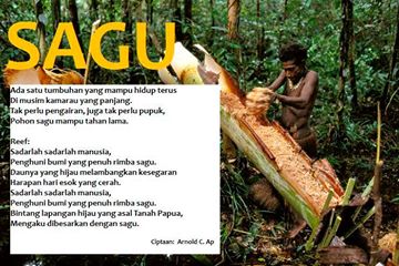 Sago cultivication,Papua, south east