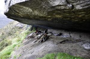 In Brief: We have many optional programs for Trikora, but it is Boring! Now, we have 11 days, more adorable, and recommended program! Half West New Guinea-Irian Jaya before (Now Papua), one of the Last Frontiers on Earth is a paradise for the adventure seekers. Our carefully designed packages will take you to remote expedition (& villages in Trikora) valley North west Baliem valley to see & experience the Beautiful highland endemic birds, wild life, Trikora peak, and its sun rises & sets & the Dani people #For traveling permit or we called “surat jalan” from military, we can be organized it in Wamena (For International tourist). So here we recommend 11 days tour in Trikora, ideal, cheaper & recommended!