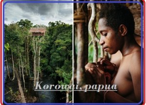 korwai-papua-TREK-PAPUA TOURS. LTD West Papua-half New Guinea western States Tourism HEAD OFFICE Jl. Bandara Sentani – Jayapura Papua District Headquarter - Sentani Land Line - +0967-591686 Mobile No - +62 81247628708 E Mail -info@Papuatravels.com / trekpapua@gmail.com Website: - www.papuatravels.com/ or www.trek-papua.com/ Skype -wasage3