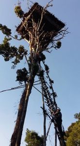 korowai-3https://trek-papua.com/korowai-batu-expedition/8-days-papua-koroway-tree-house-people-adventure/