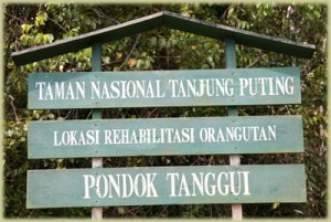  PARTICIPANTS : 5 - 6 - 10 pax PRICE PER PERSON in $ U$ 400 U$ 375 U$ 350$ 