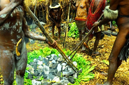 bakar-batu, Dani tribe, Yalimo, Elelim, Kab. Yalimo, Traditional earth cook. acara bakar batu kampung Obia, Wamena, jiwika village, Mr. Yali, and Bernard Mabel, Yunia Wenda-Cook. Demi Wasage, Tour Guide, Mac in Lonely planet, Recommended guide.
