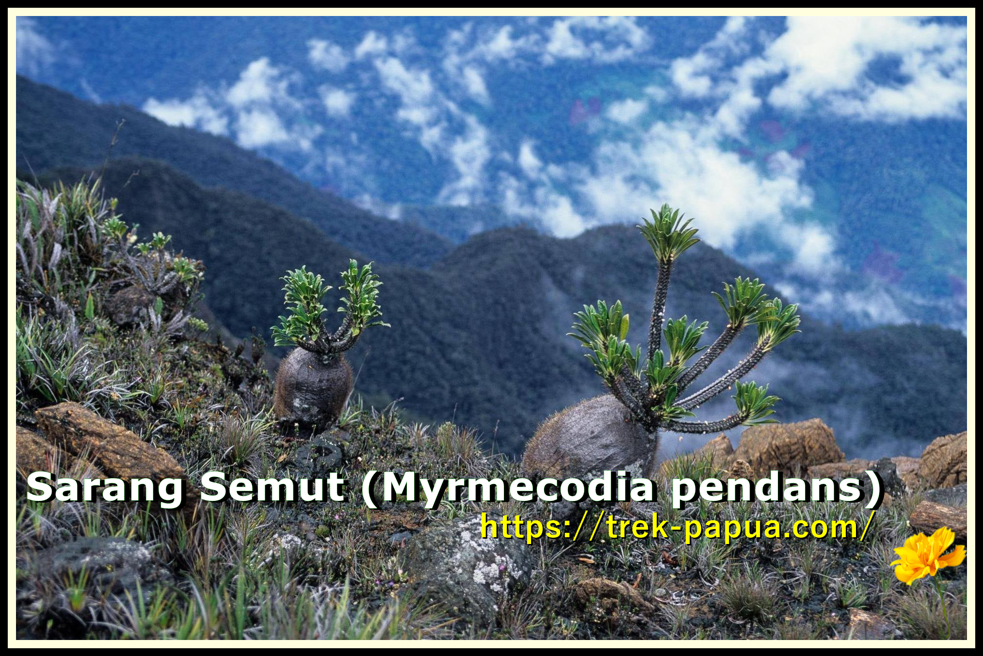 lorentz-national-park-exp-1