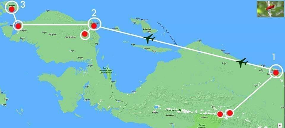 10 days Nimbokrang-Arfak Birding – Trek-Papua