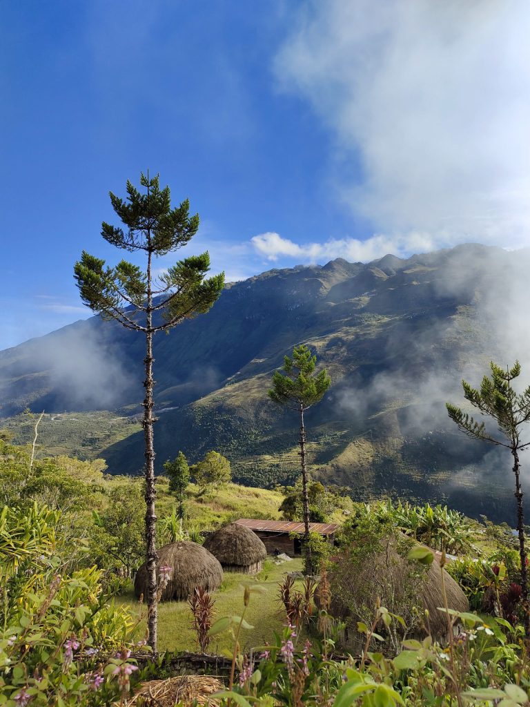 Baliem valley | Dani tribe | Papua