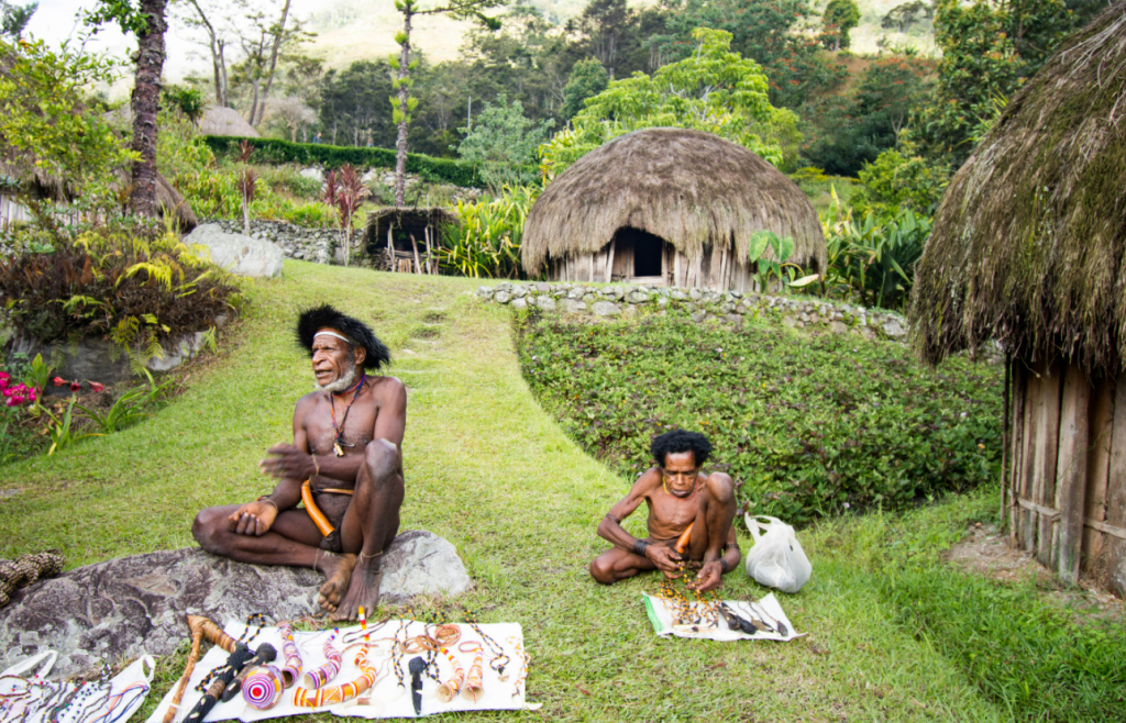 PAPUANS EXPERIENCE
https://trek-papua.com/
|special Interest travelers | Papua goers fixer